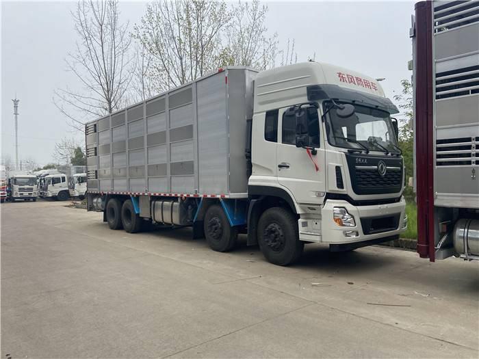 上海貨運公司車(chē)輛